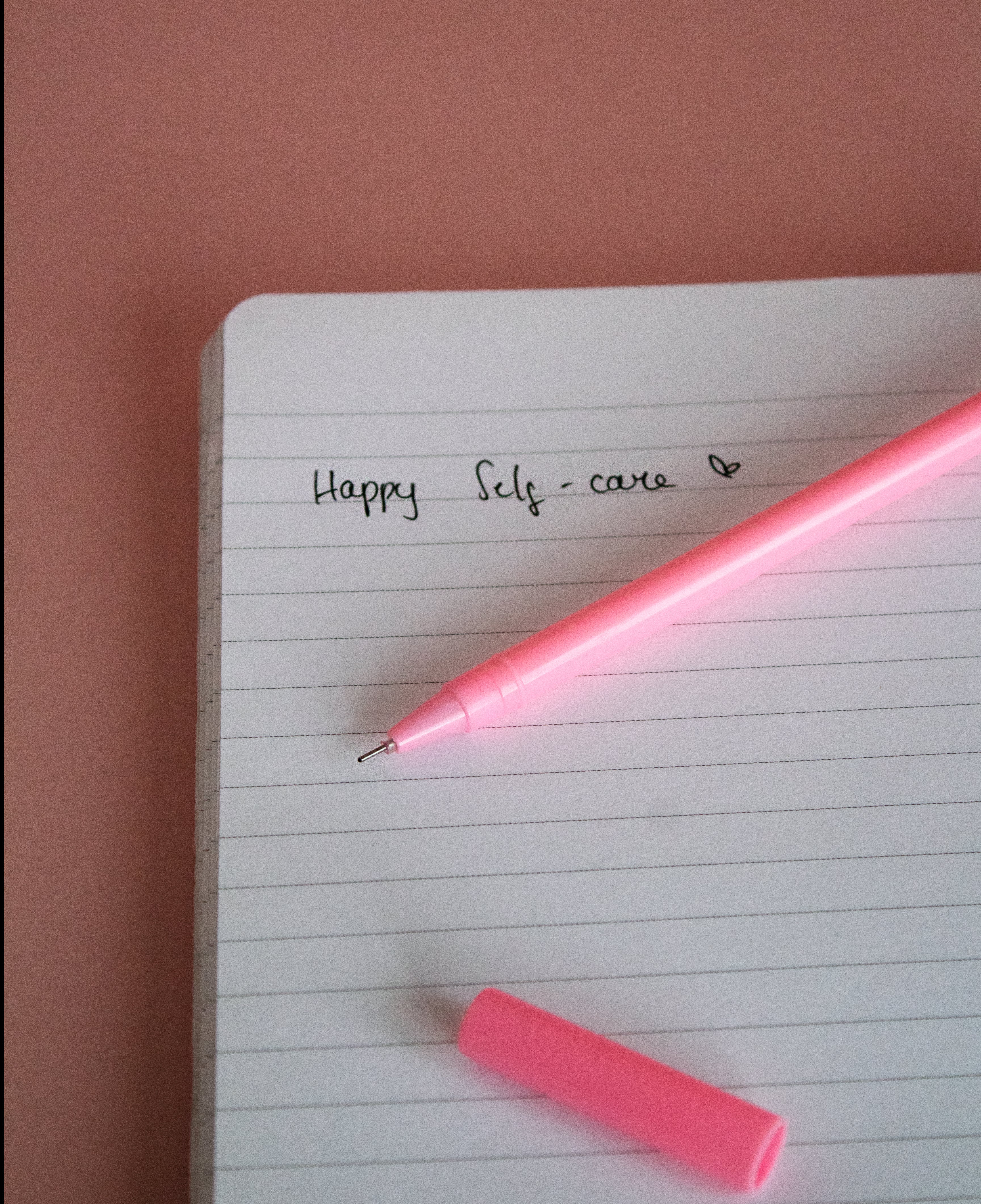 Lengbox Cute Animal Pens - Image 8